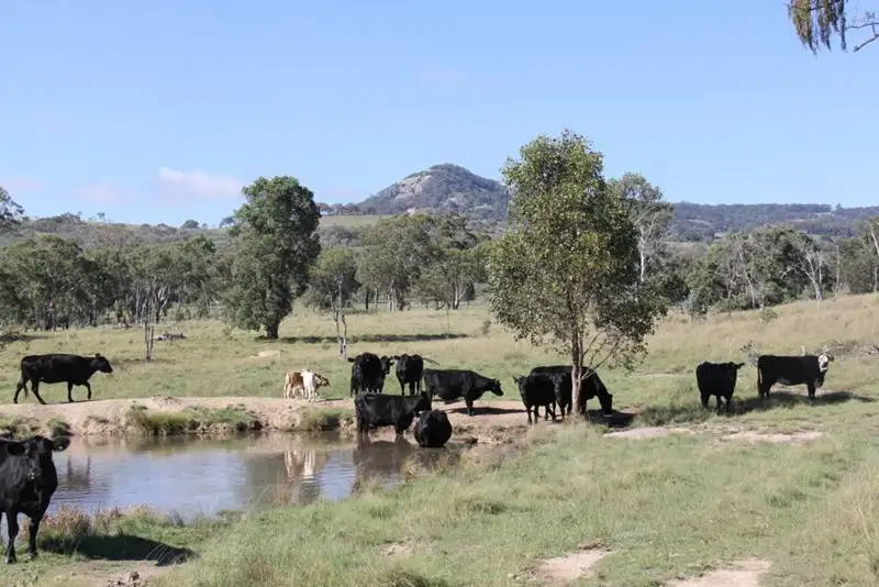 Main view of Homely rural property listing, Lot 2 Kildare Road, Tenterfield NSW 2372
