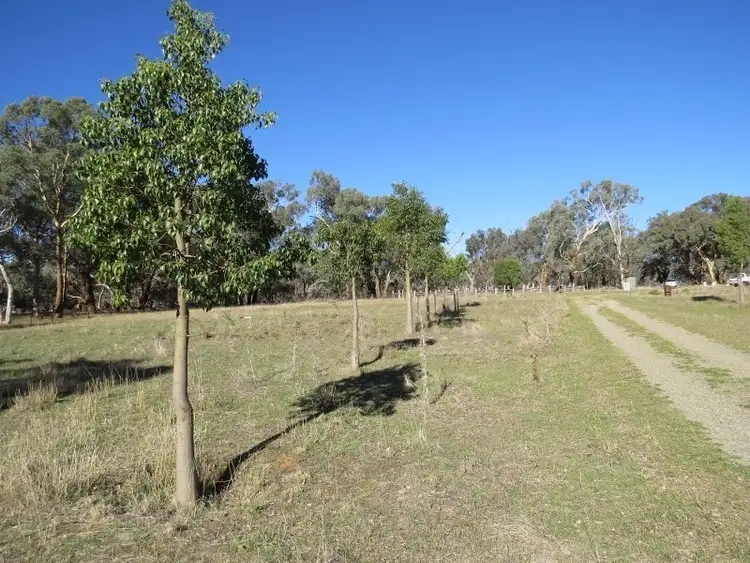 Fourth view of Homely rural property listing, 3716 Lachlan Valley Way, Godfreys Creek NSW 2586