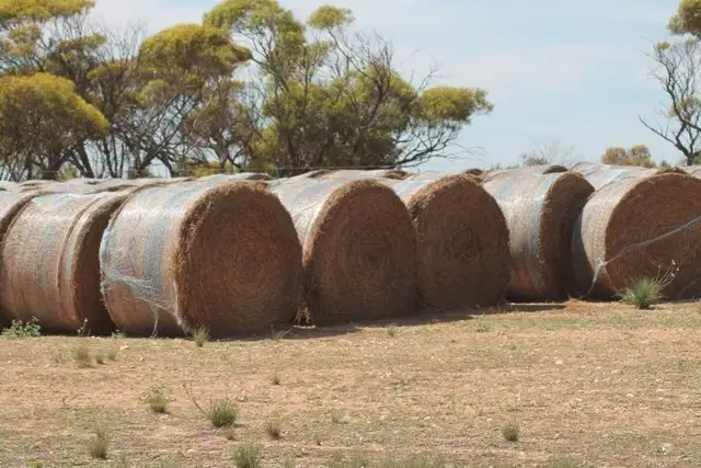 Fourth view of Homely rural property listing, 4 Sections Hundred of Playford, Cowell SA 5602