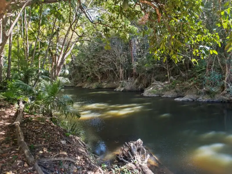Main view of Homely house listing, 778 Currumbin Creek Road, Currumbin Valley QLD 4223