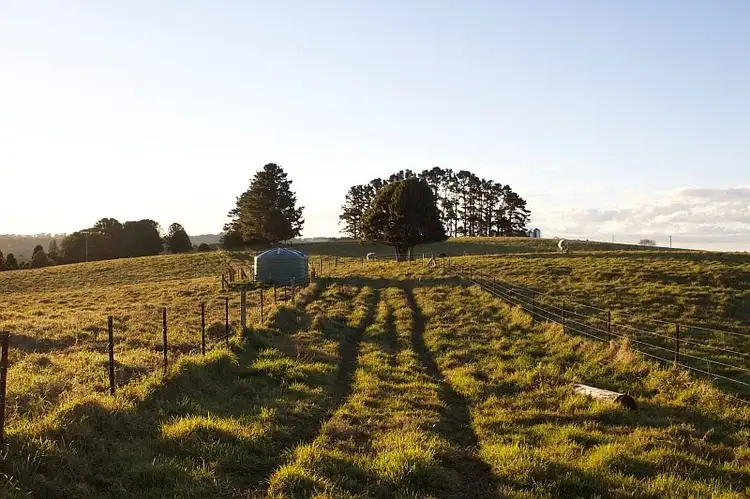 Second view of Homely rural property listing, 5615 Waterfall Way, Dorrigo NSW 2453