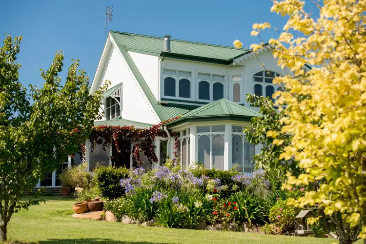 Second view of Homely rural property listing, 310 Timbarra Road, Tenterfield NSW 2372