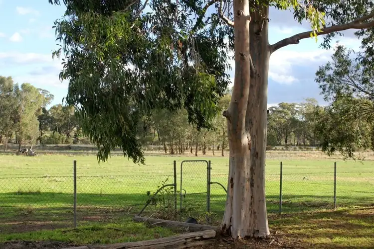 Sixth view of Homely rural property listing, 6410 Burley Griffin Way, Temora NSW 2666