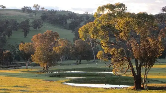 Sixth view of Homely rural property listing, 1157 Bald Ridge Road, Burraga NSW 2795