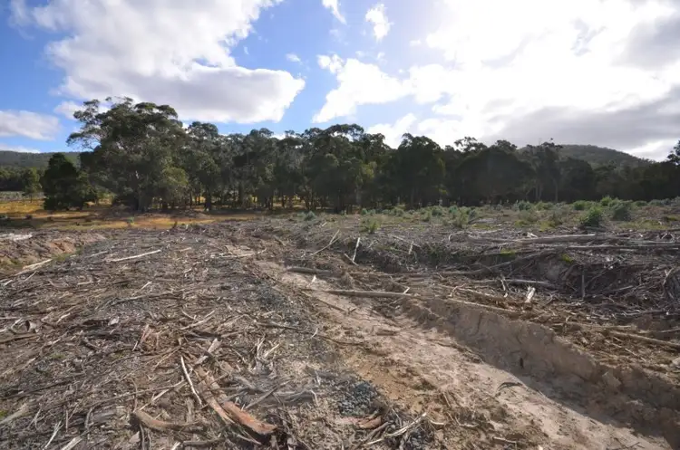 Sixth view of Homely rural property listing, "Jarman" Raglan - Elmhurst Road, Raglan VIC 3373