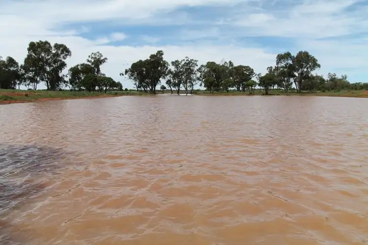 Second view of Homely rural property listing, 29351 Mitchell Highway, Charleville QLD 4470