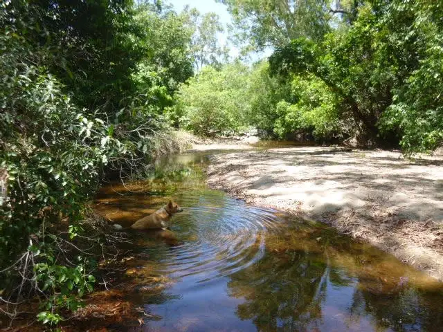 Second view of Homely land listing, Lot 1 Mount Amos Road, Cooktown QLD 4895