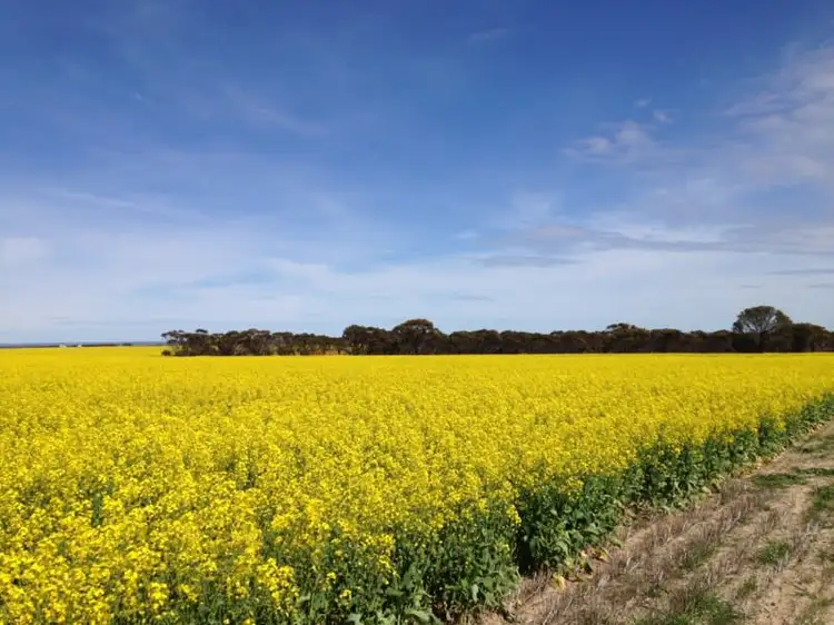 Hiview Steele Road, Pingrup WA 6343