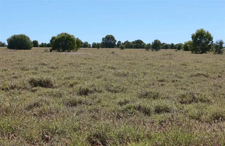 Second view of Homely rural property listing, Comet River Lot 1 Klimore Road, Comet QLD 4702