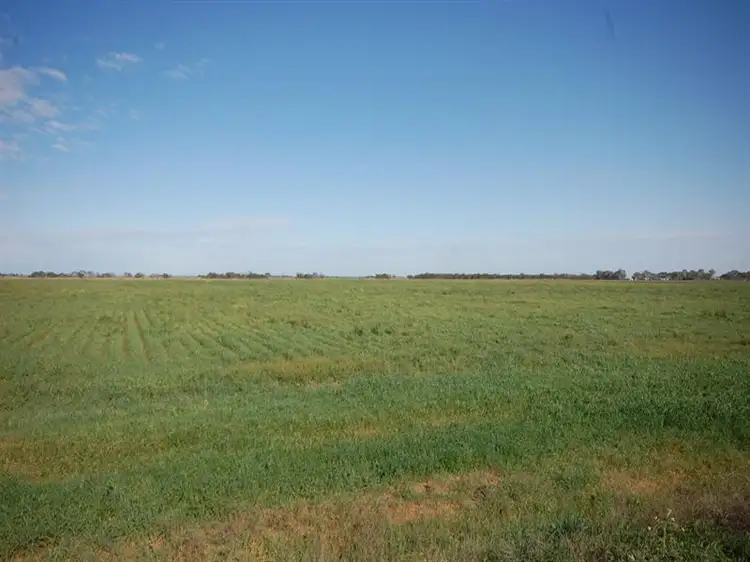 Farm 1054B Crawford Road, Hanwood NSW 2680