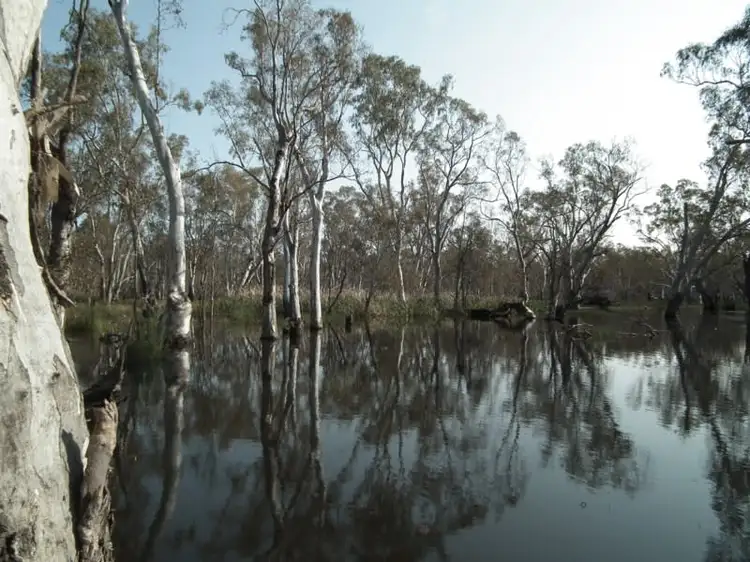 Sixth view of Homely rural property listing, "Buffalo" Buffalo Swamp Road, Kirwans Bridge VIC 3608