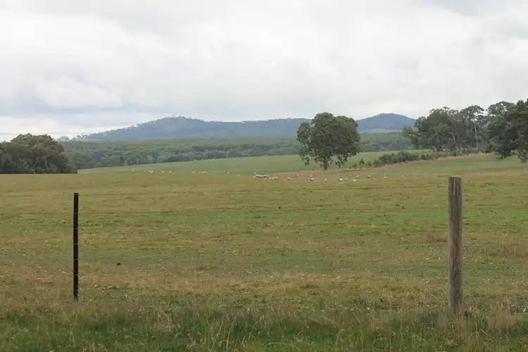 Second view of Homely rural property listing, 29 Walsh's Road, Cavendish VIC 3314