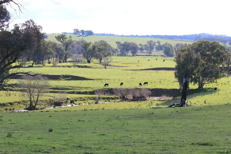 Fourth view of Homely rural property listing, Rosalie Hume Highway, Tarcutta NSW 2652