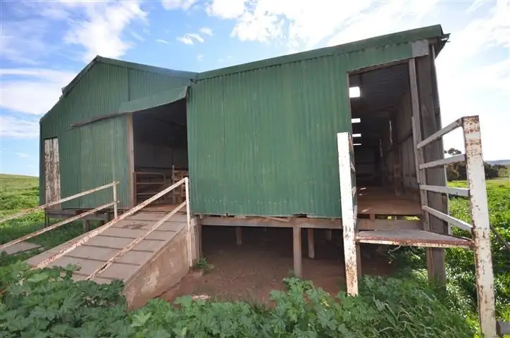 Fourth view of Homely rural property listing, "Oak Brae" 1197 Petherton Road, Booborowie SA 5417