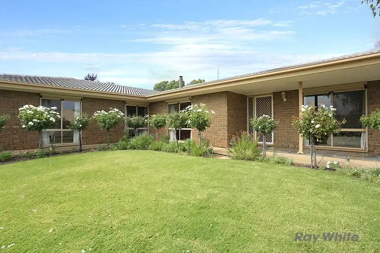 10 Houghton Street, Clare SA 5453