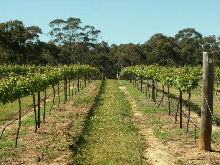 Sixth view of Homely rural property listing, 20 Morris Lane, Avoca VIC 3467