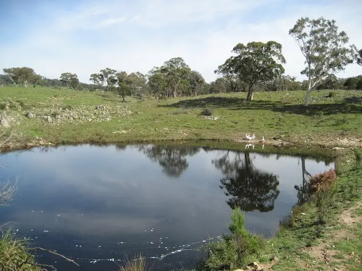 Main view of Homely rural property listing, 524 Jerrara Road, Marulan NSW 2579