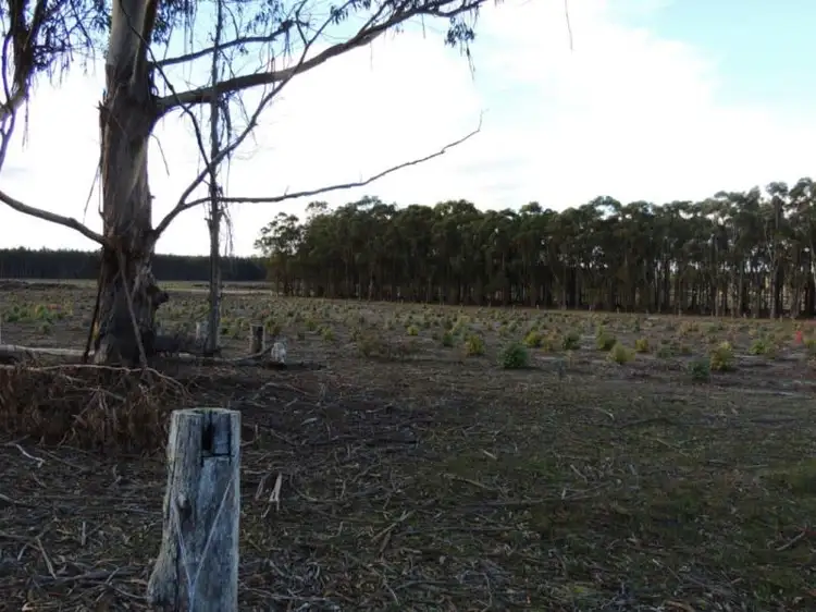 Fifth view of Homely rural property listing, 1583 Bandit Road, Denmark WA 6333