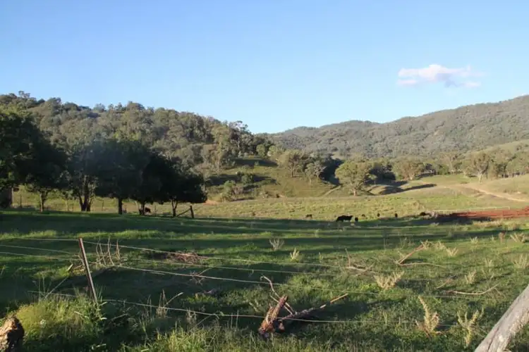 Fourth view of Homely rural property listing, 97 Woolomin Gap Road, Woolomin NSW 2340