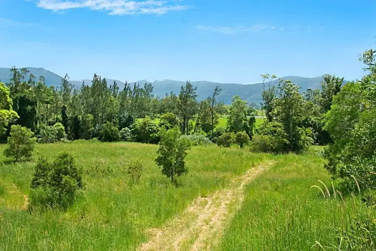 Second view of Homely rural property listing, 94 Starlight Way, Tyalgum NSW 2484