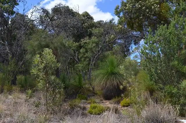 Fifth view of Homely land listing, 10 Harling Way, Bullsbrook WA 6084