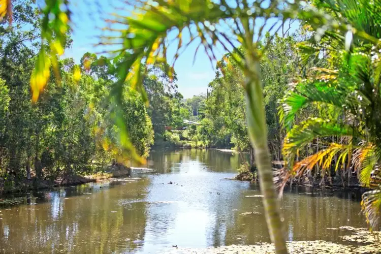 Third view of Homely house listing, 4 Bangalow Court, Buderim QLD 4556