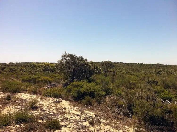 Third view of Homely land listing, Lot 296 Sulina Crescent, Jurien Bay WA 6516
