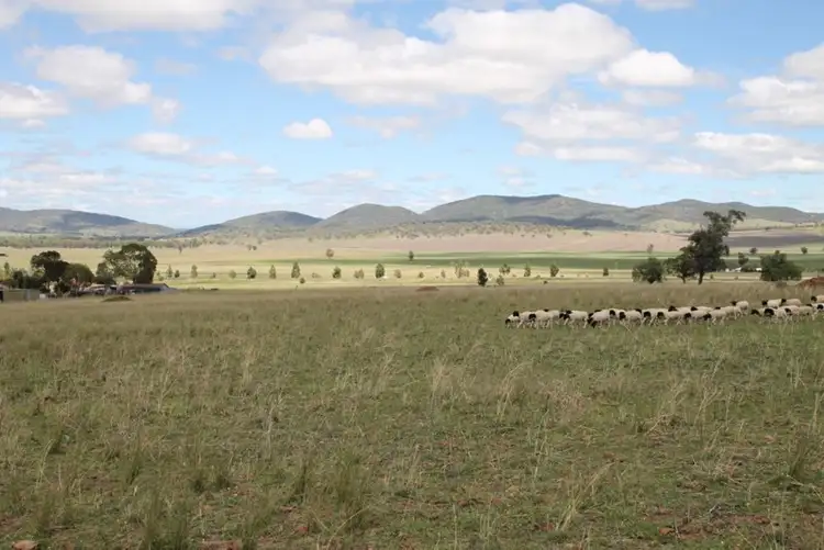 Seventh view of Homely land listing, Lot 238 Deeks Road, Werris Creek NSW 2341