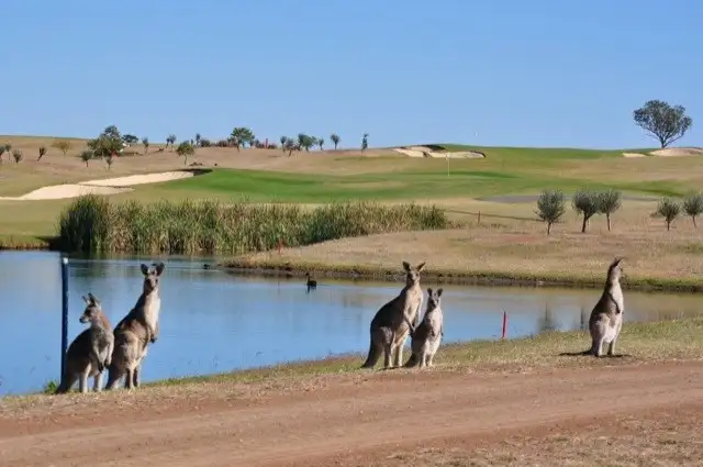 Sixth view of Homely land listing, 4 Gabriella Way, Tamworth NSW 2340
