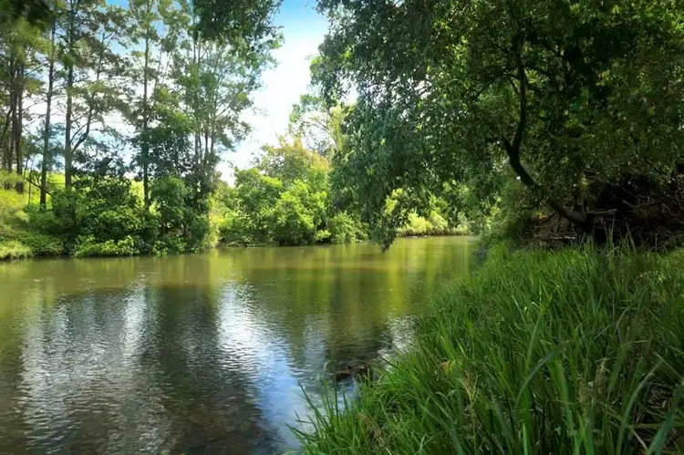 Third view of Homely rural property listing, 1590 Fosterton Road, Dungog NSW 2420