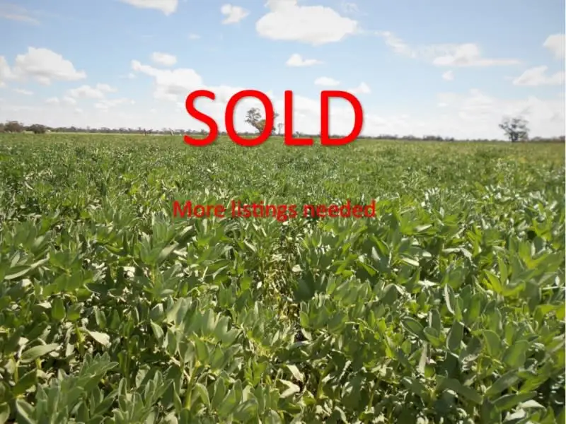 Main view of Homely rural property listing, Lot 581 Nitschkes Road, Bordertown SA 5268