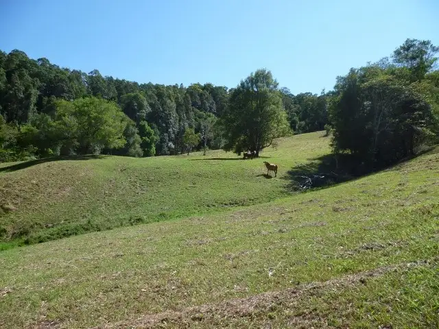 Sixth view of Homely rural property listing, 1475 Byrrill Creek Road, Tyalgum NSW 2484