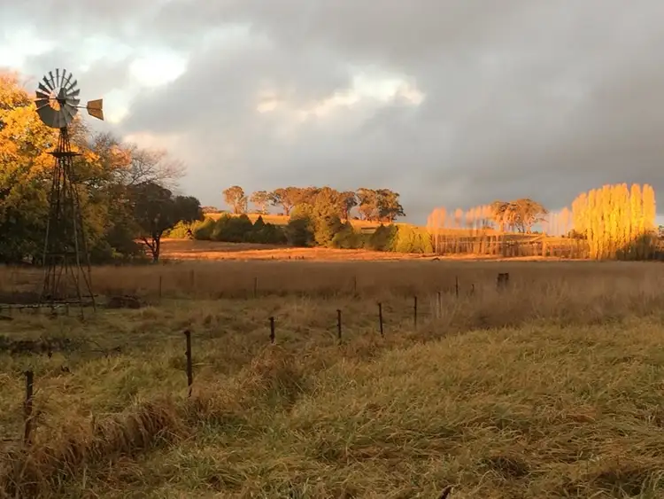 Seventh view of Homely rural property listing, 191 Nyles Gate Road, Millthorpe NSW 2798