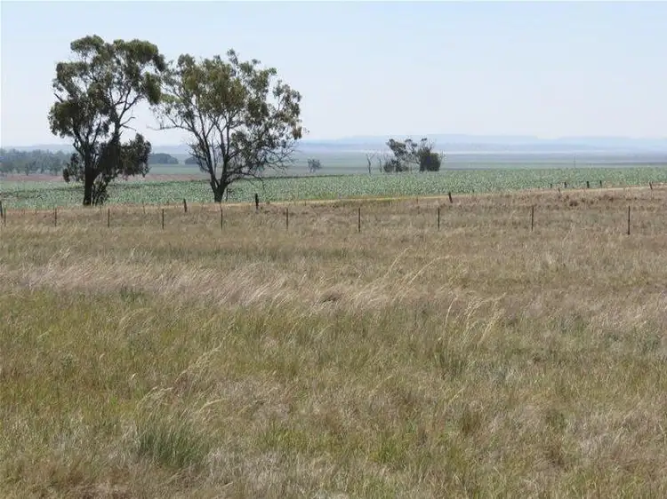 Fifth view of Homely rural property listing, 21 Big Jacks Creek Road, Willow Tree NSW 2339