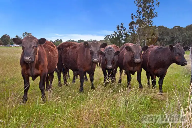 Third view of Homely land listing, Lot 1 633 Moore Creek Road, Tamworth NSW 2340