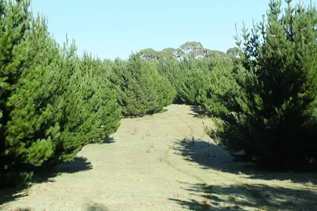 Third view of Homely rural property listing, 1881 Edith Road, Oberon NSW 2787