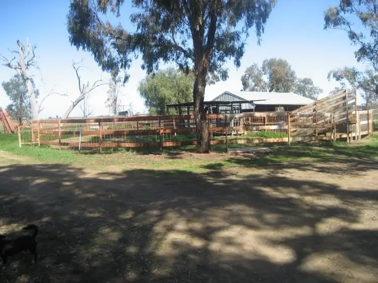 Fourth view of Homely rural property listing, 931 Prairie Road, Bamawm VIC 3561