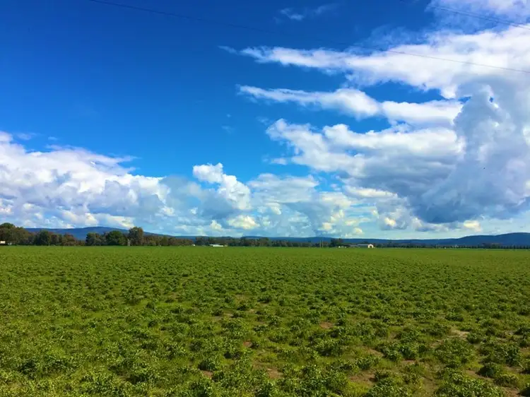 Fifth view of Homely rural property listing, Address available on request