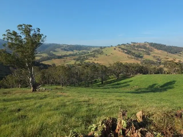 Second view of Homely rural property listing, 571 Cuthill Road, Hampton NSW 2790