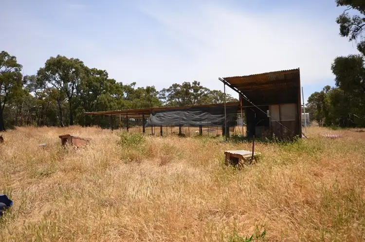 Seventh view of Homely rural property listing, 4415 Stawell-Avoca Road, Landsborough VIC 3384