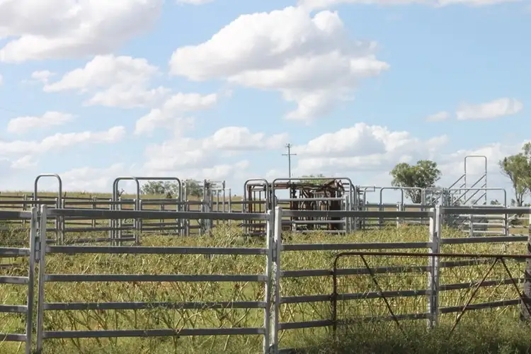 Second view of Homely rural property listing, Address available on request