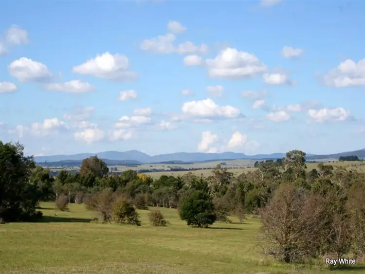 Seventh view of Homely land listing, 101 Hawthorne Lane, Braidwood NSW 2622