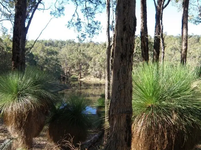 Fifth view of Homely rural property listing, Lot 3649 Gardiner Road, Nannup WA 6275