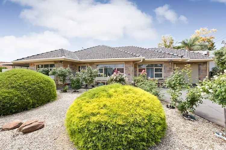 Main view of Homely house listing, 14 Alexander Avenue, Modbury North SA 5092