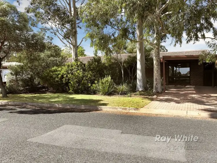 Main view of Homely house listing, 13 Deakin Avenue, Hope Valley SA 5090