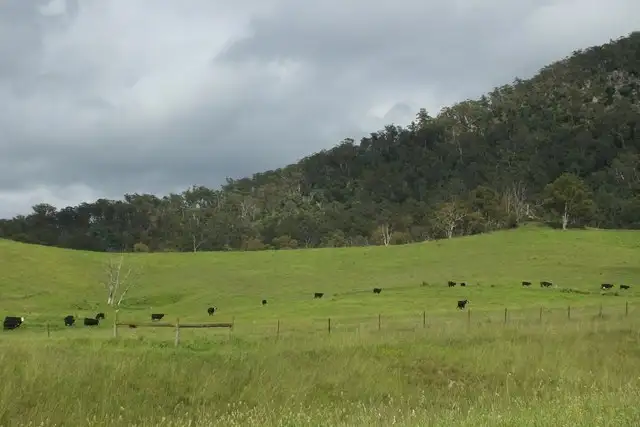 Sixth view of Homely rural property listing, 1050 Cullenbenbong Road, Kanimbla NSW 2790