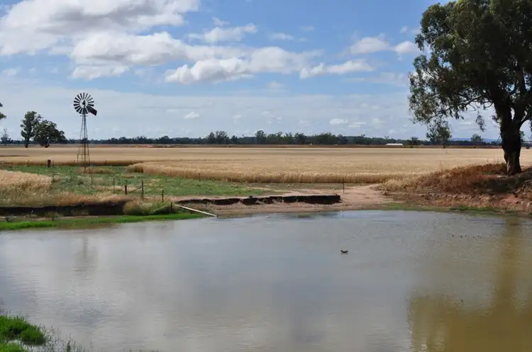 Main view of Homely rural property listing, "Tiagarra" 339 New Grenfell Road, Forbes NSW 2871