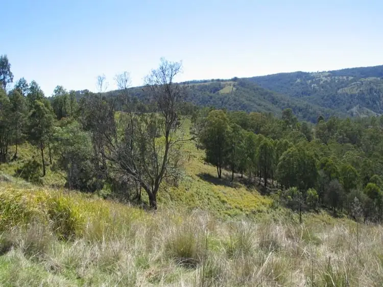 Fifth view of Homely rural property listing, 800 Timbarra Road, Tenterfield NSW 2372