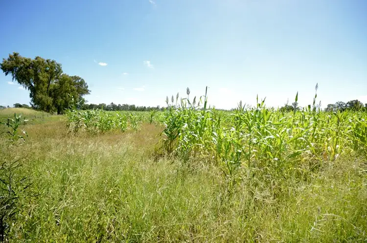 Seventh view of Homely rural property listing, 11507 Dawson Highway, Biloela QLD 4715
