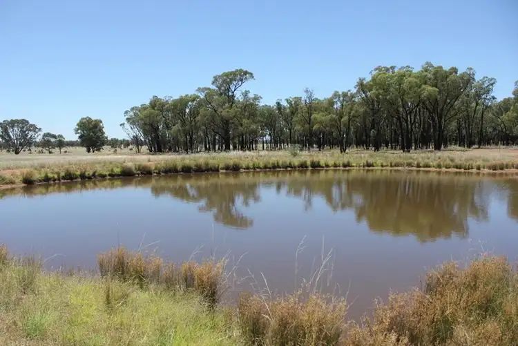 Main view of Homely rural property listing, 977 Schmidts Lane, Temora NSW 2666